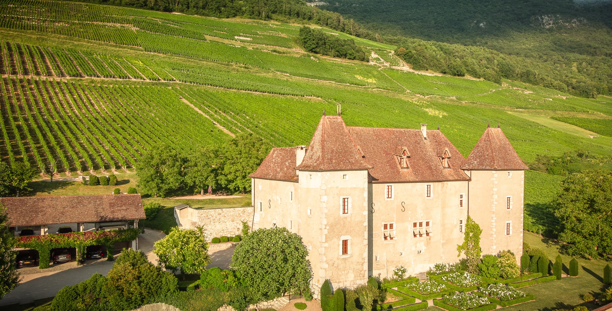 Caves & vignerons