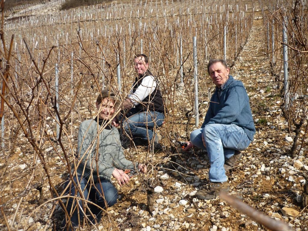 Caves & vignerons